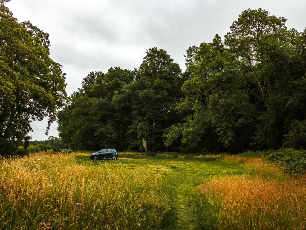 A flat bit of green grass surrounded by corn and with woodland behind it. There is a car parked on the grass.