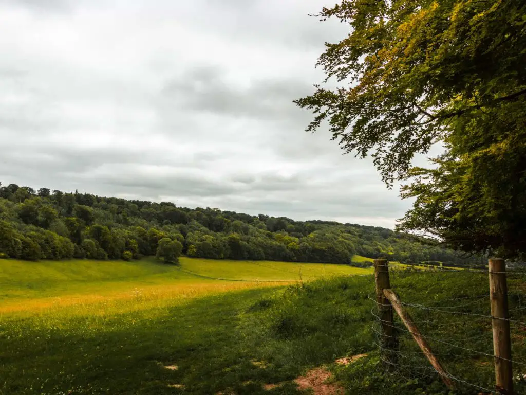 A big green field with lots of trees on the other side of it.