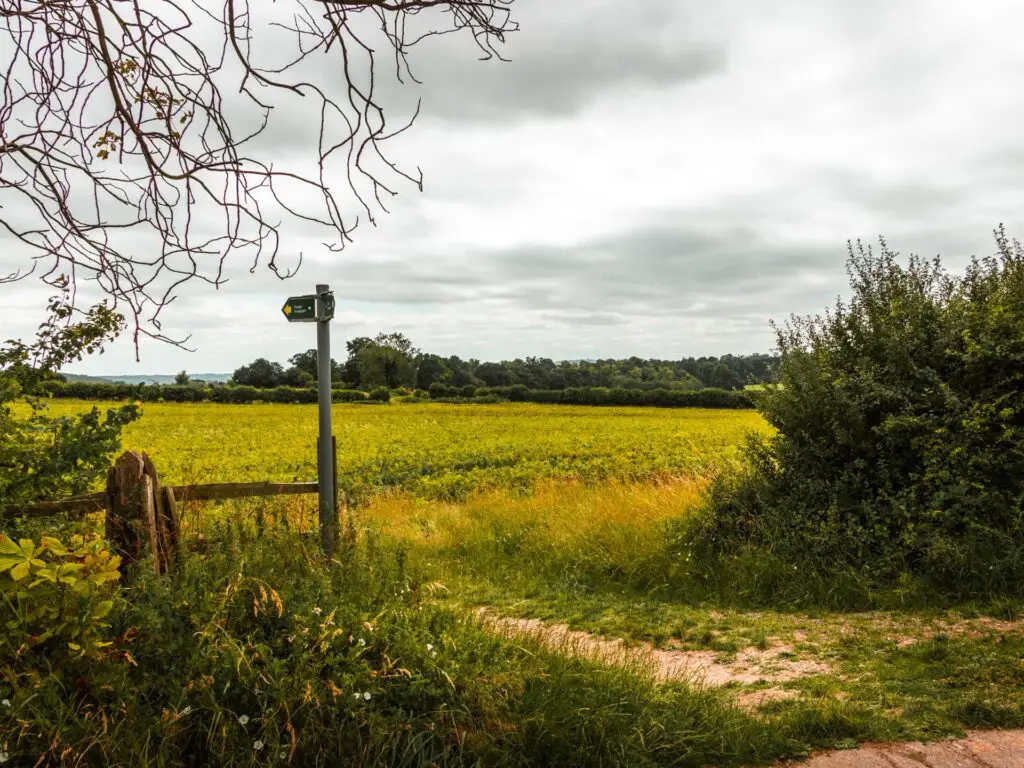Signage leading into a field on the Tring to Ivinghoe Beacon circular walk.