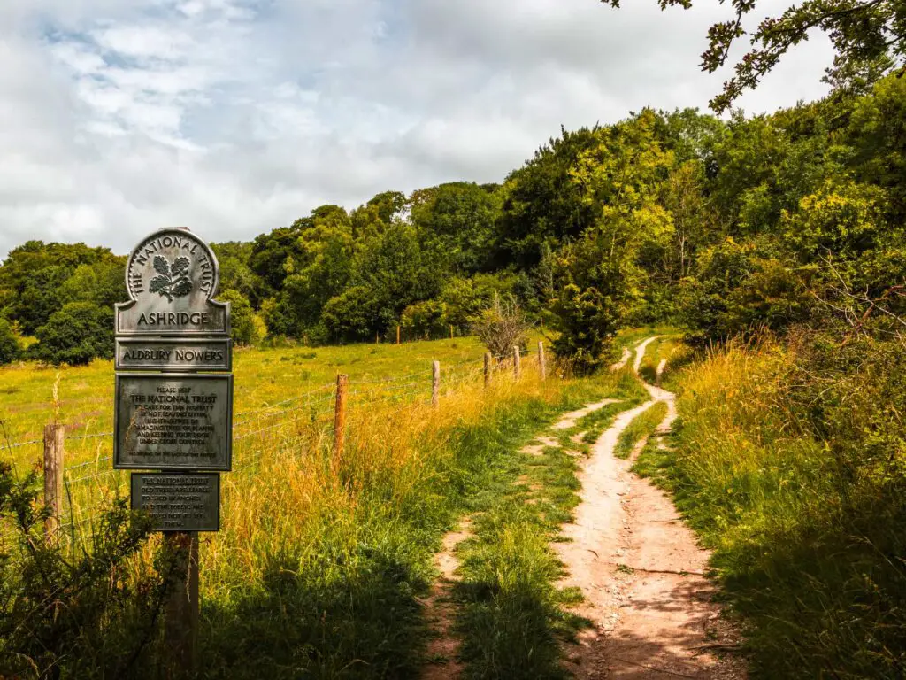 The trail as it runs uphill surrounded by green grass with trees and bushes up ahead.