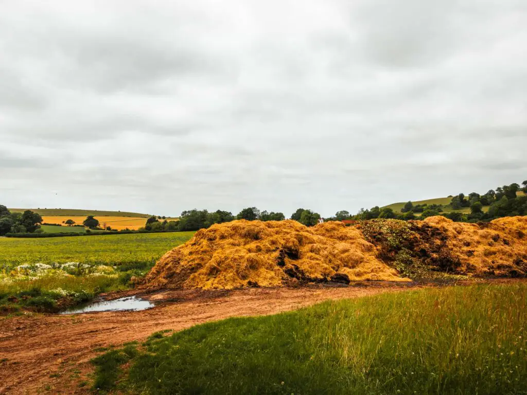 A giant pile of manure in the Chilterns.