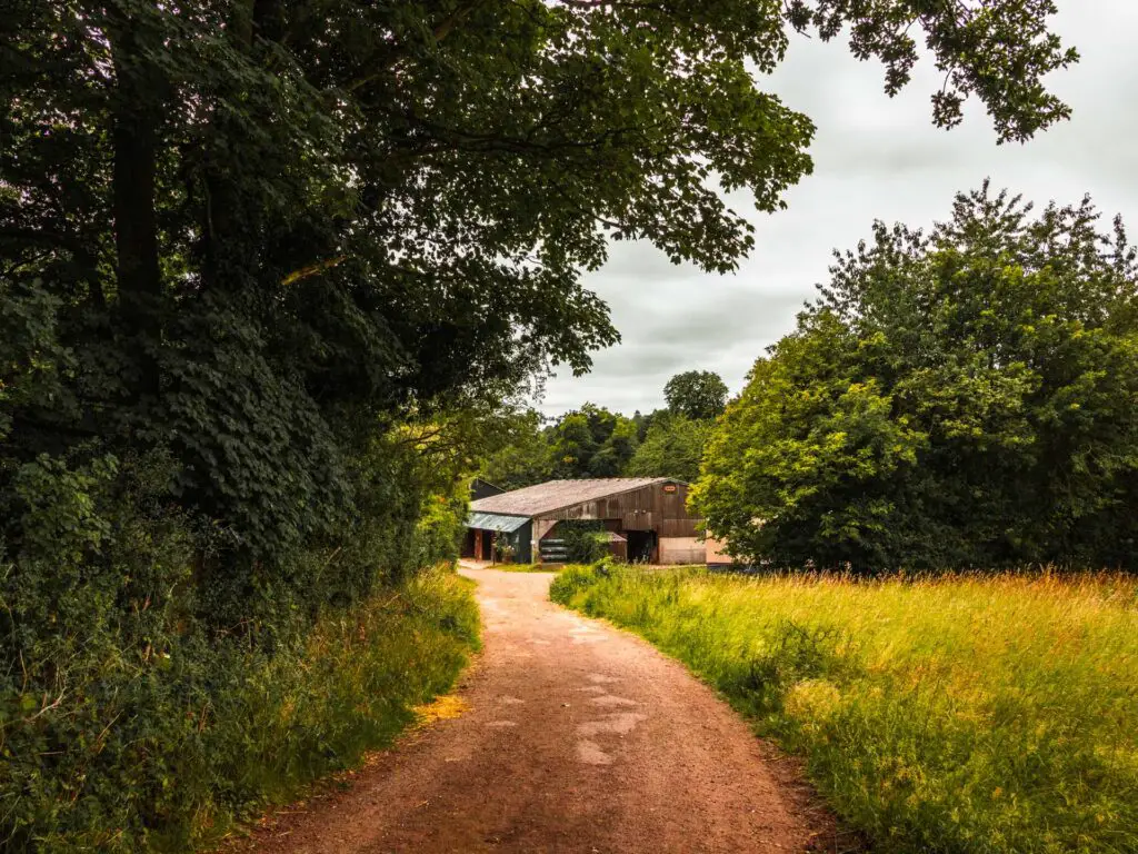 A wide trail leading towards a farm house in the Chilterns. There are trees and bushes on the left of the trail.