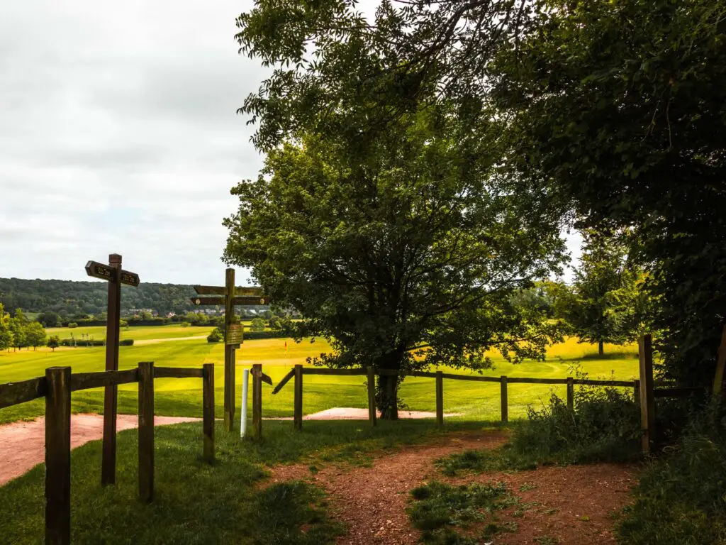 A dirt trail under tree cover, with a wooden fence to the left and gold green beyond that on the circular walk from Tring.