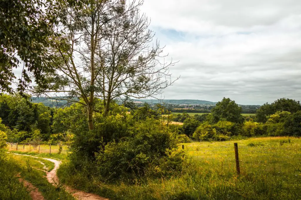 A trail snaking around to the left with a view of the green Chiltern Hills ahead.