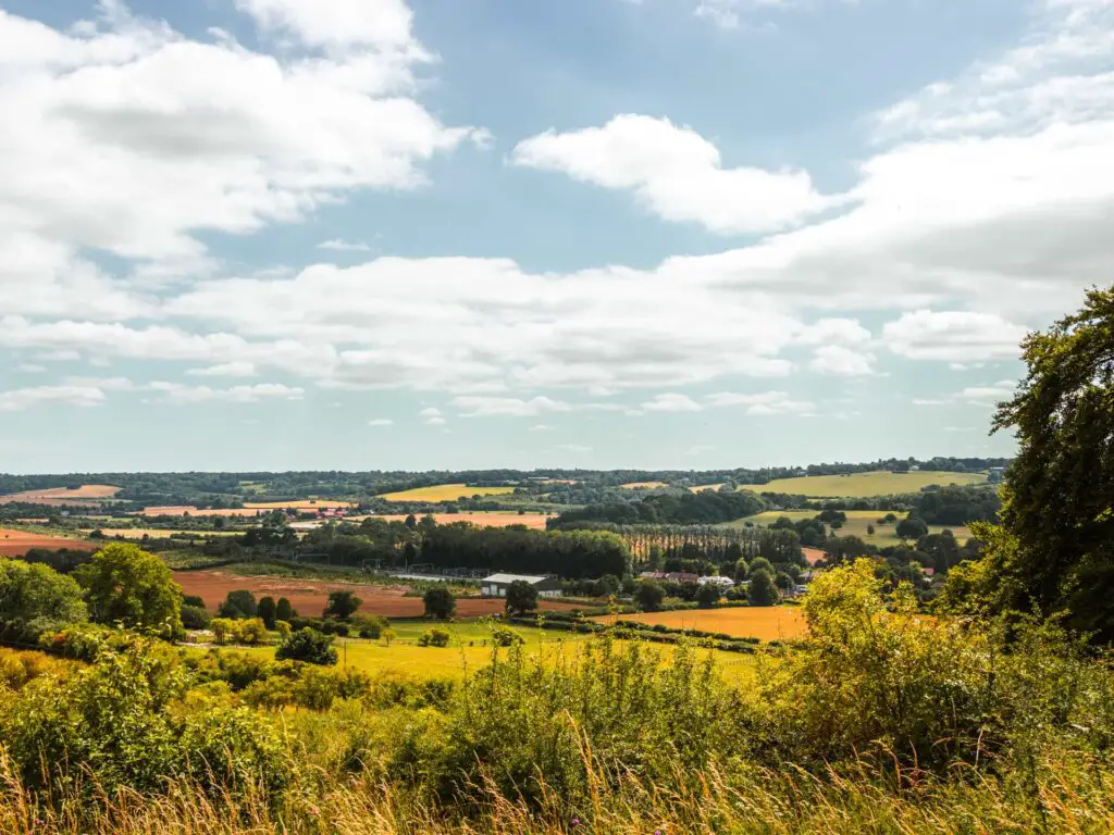 A view of the fields of the Chilterns hills looking down towards Tring.