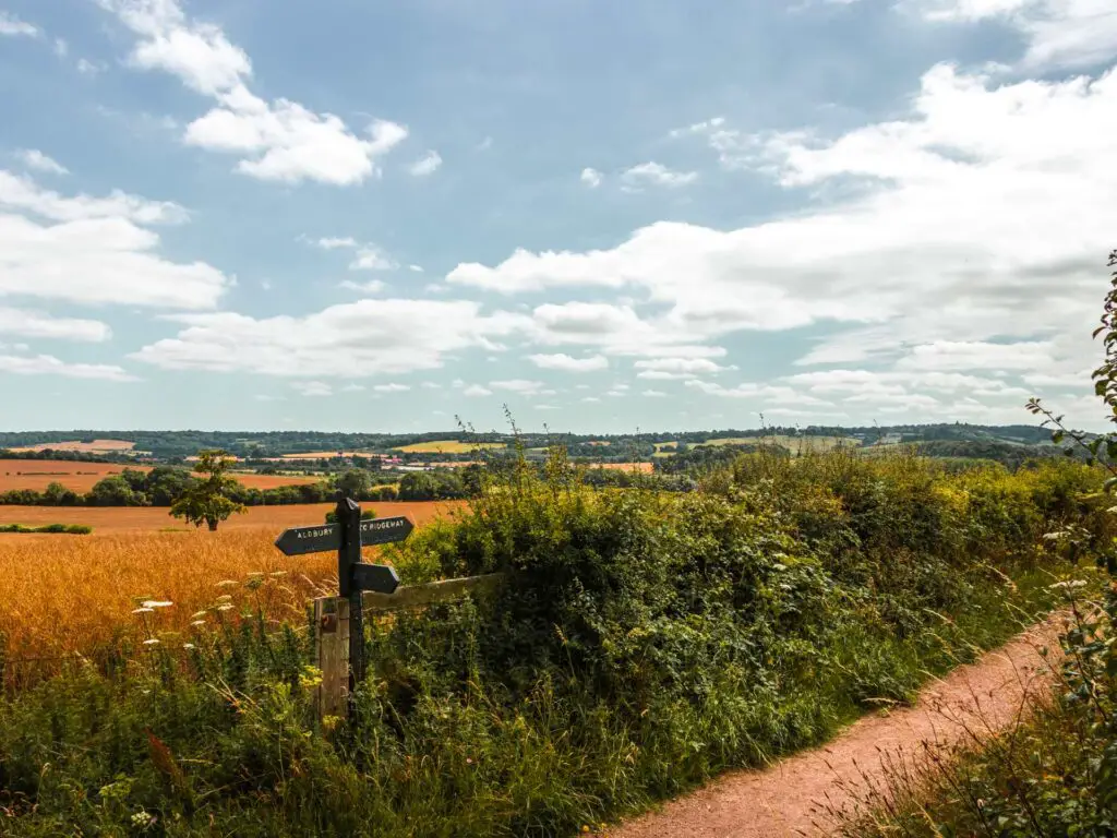 The trail with signage at the end of Tring to Ivinghoe Beacon circular walk.There is a hedge lining the trail and orange crop field on the other side.