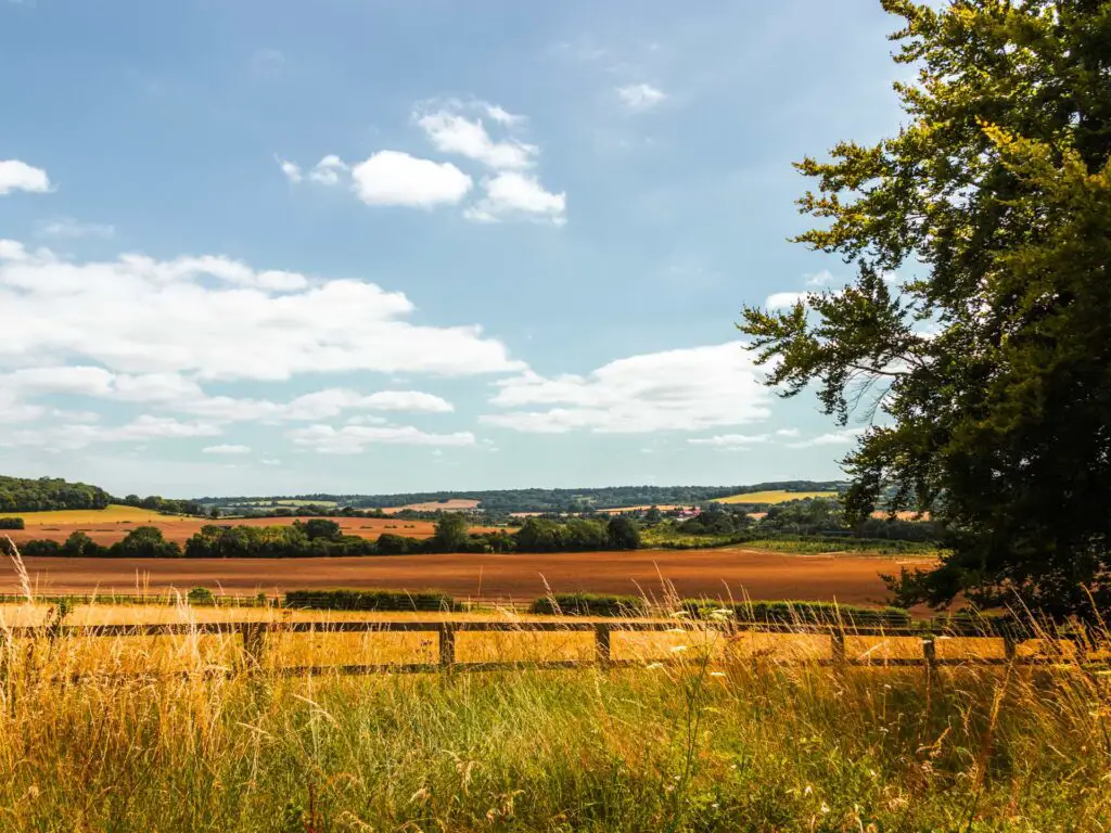 A view of the rolling hills of the Chilterns at the start of the circular walk from Tring.