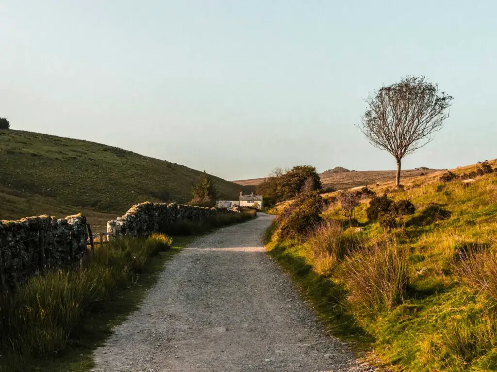 The trail with a stone wall on the left and green on the right in Dartmoor. There is a small house at the end of the trail.