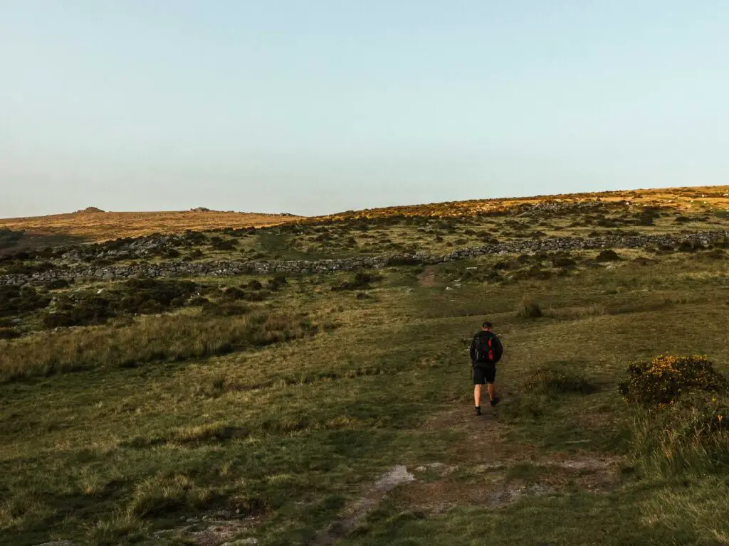 Green grassy land with a man walking.