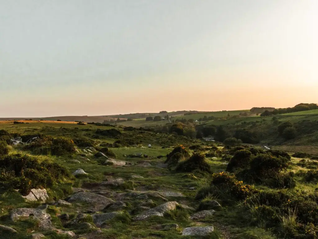 Green grassy moor land in Dartmoor National Park.