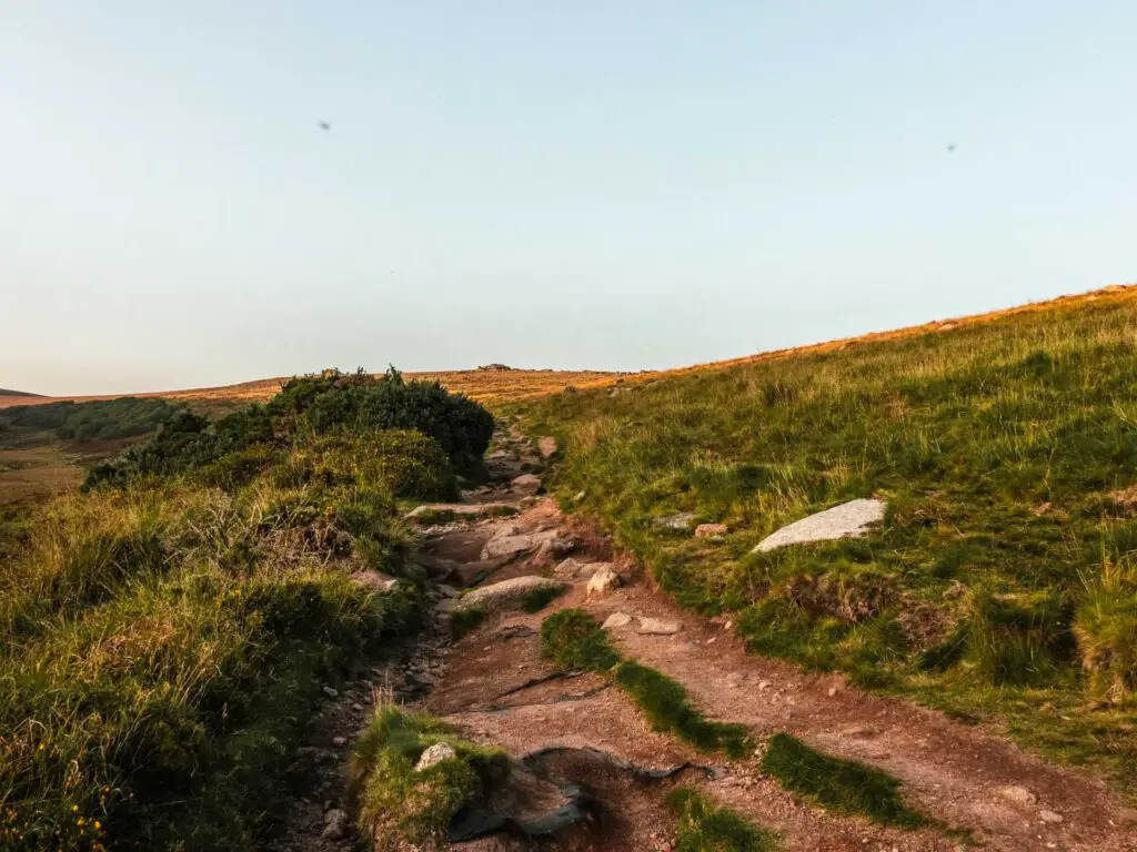 A dirt trail with some rocks surrounded by green grass on the walk ti Wistman's Wood in Dartmoor.