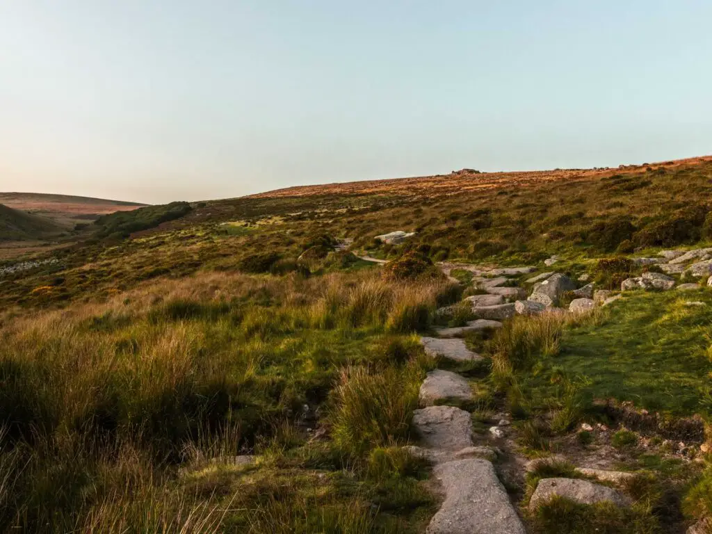 A stone trail leading through the green moorland of Dartmoor.