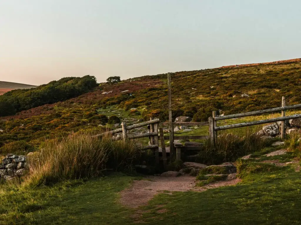 A wooden fence and gate a walking trail, with the trees of Wistman's Wood on the left in the Distance.
