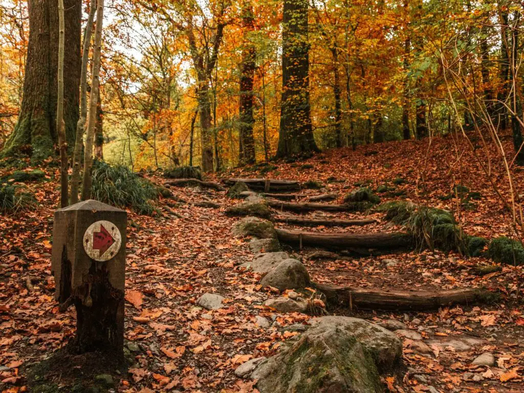 A short stump post with a red arrow pointing to wooden steps on the walk to the Stock Ghyll Force waterfall from Ambleside.