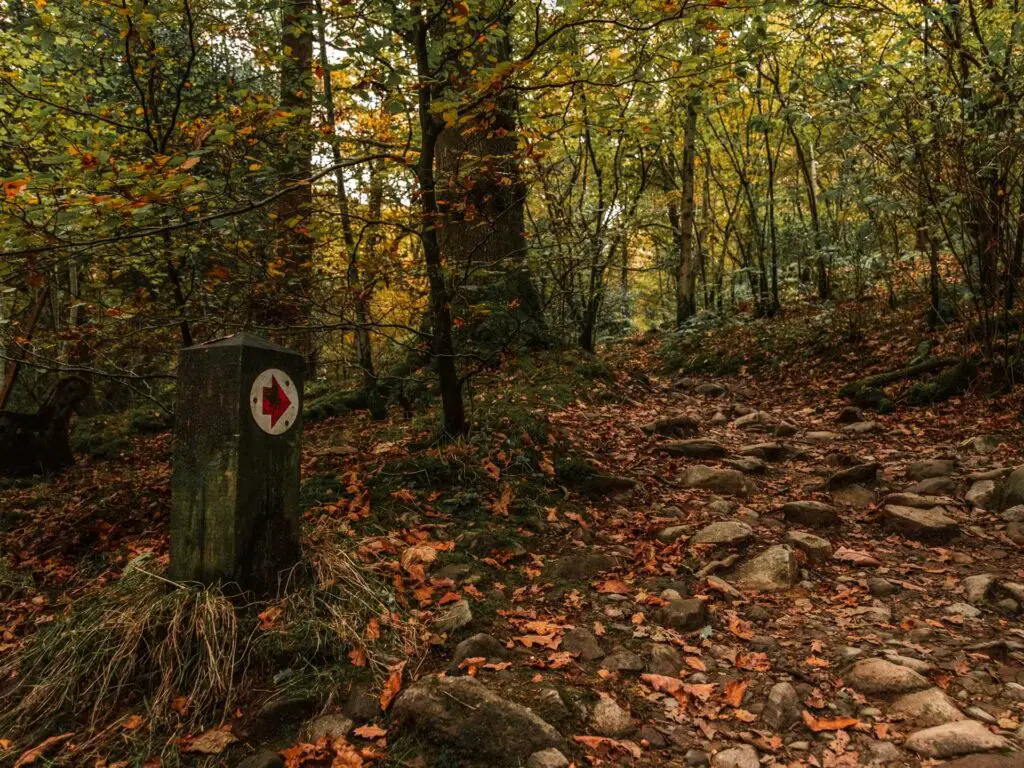 A small stump post with a red arrow pointing the way to the waterfall. It points to another dirt trail covered in rocks.