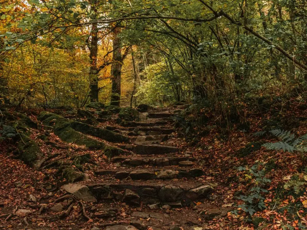 Stone steps leading uphill on the walk to Stock Ghyll force waterfall from Ambleside.