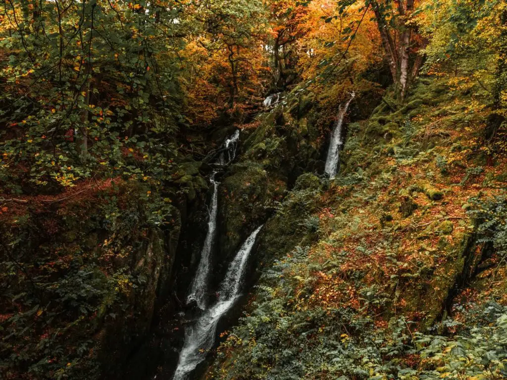 The Stock Ghyll force waterfall in Ambleside, running down the moss covered cliffside.