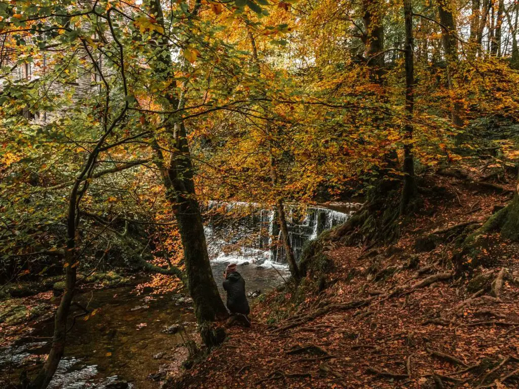 The first waterfall on the walk from Ambleside. It is surrounded by lots of trees, and there is a person sitting watching the waterfall.