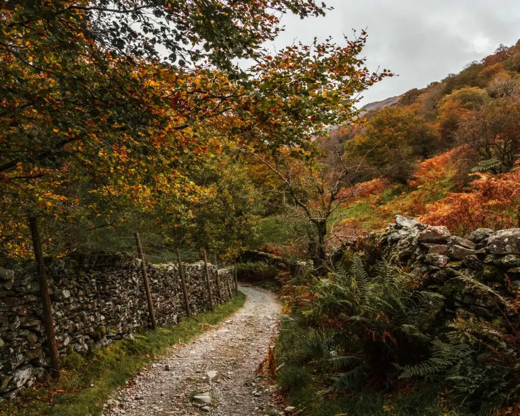 A winding gravel trail lined with stone walls and lots of green and orange foliage.