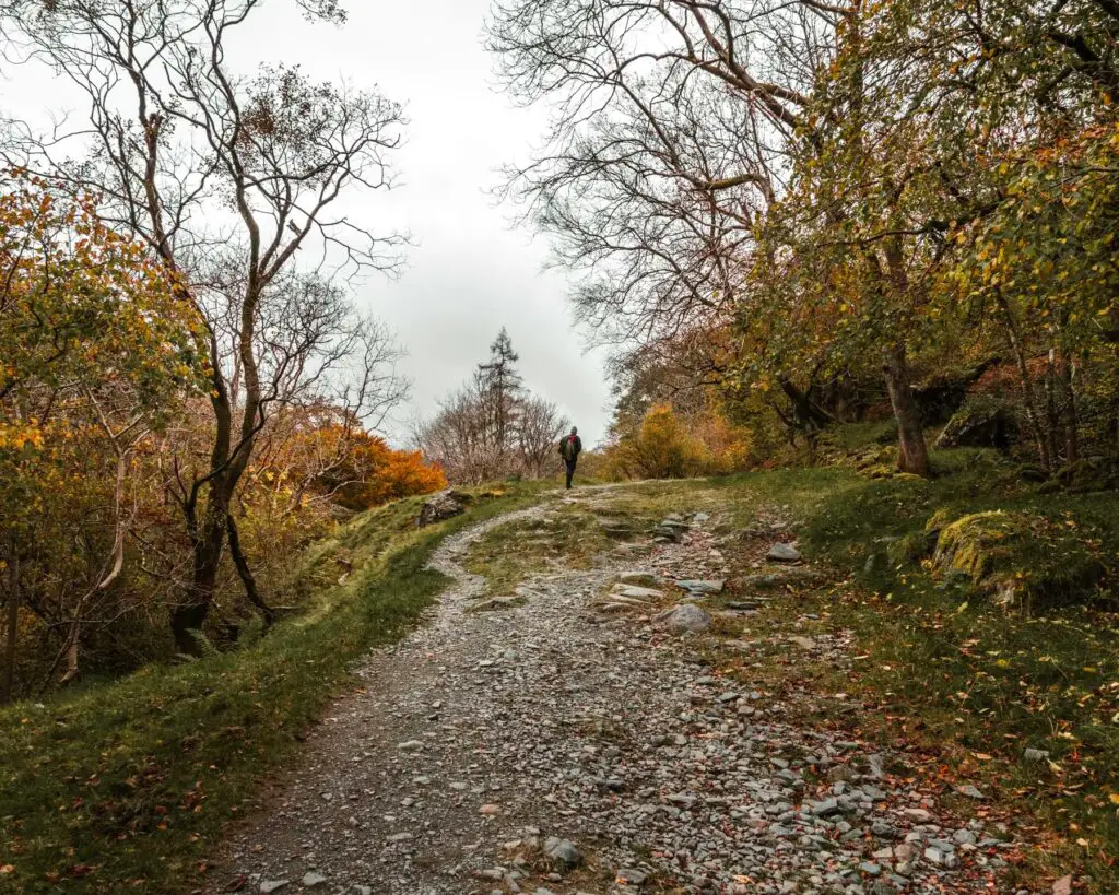 A steep wide gravel path with some sparse trees on both sides and a man standing in the distance.