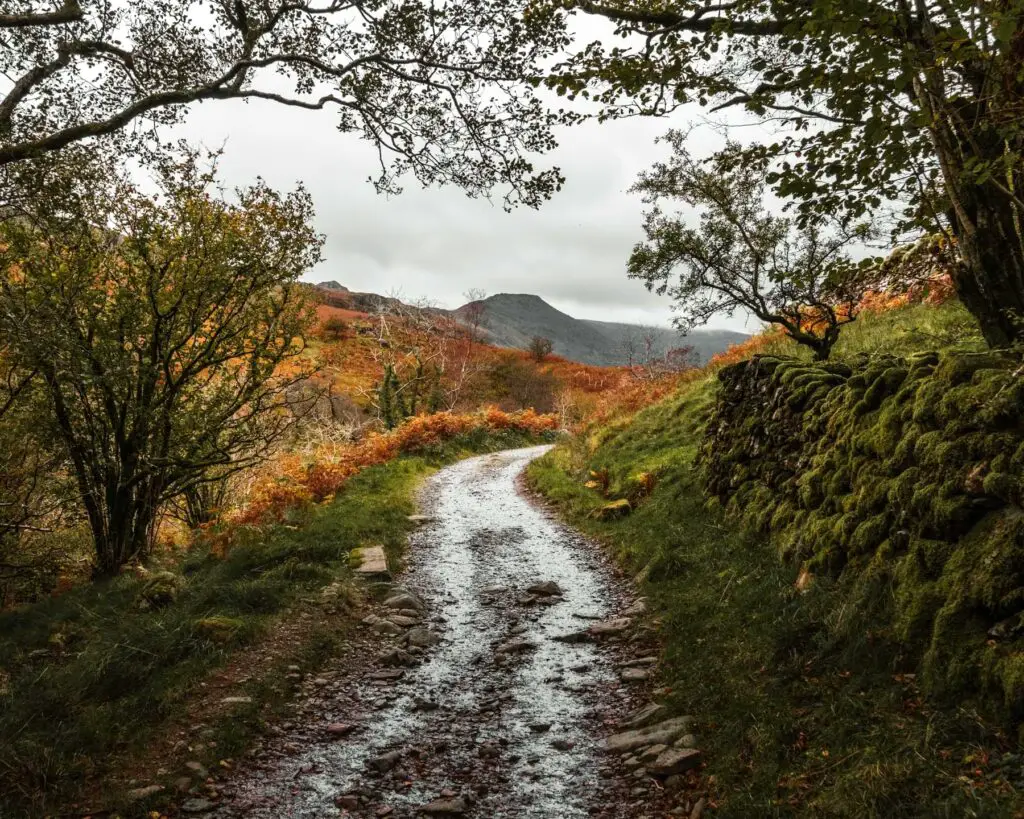 A wet and winding gravel trail leading uphill in the Lake District. With a moss covered stone wall on the right and grass and bushes on the left. There is a mountain view in the distance.