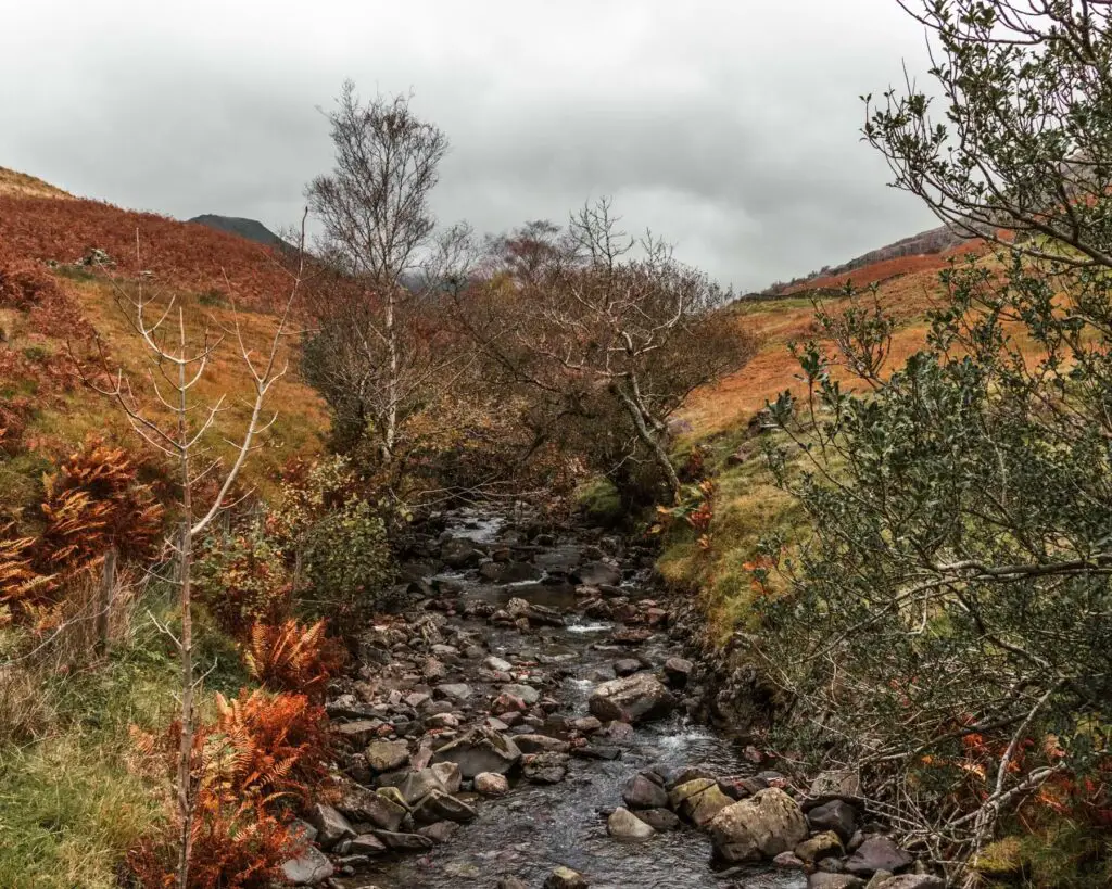 A stream of water filled with rocks and bushes and shrubbery on either side of it.