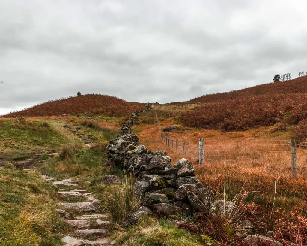 A green grass covered hill with stone steps running up it, and a low level stone wall to the right on the walk back to Ambleside from Sweden Bridge. 