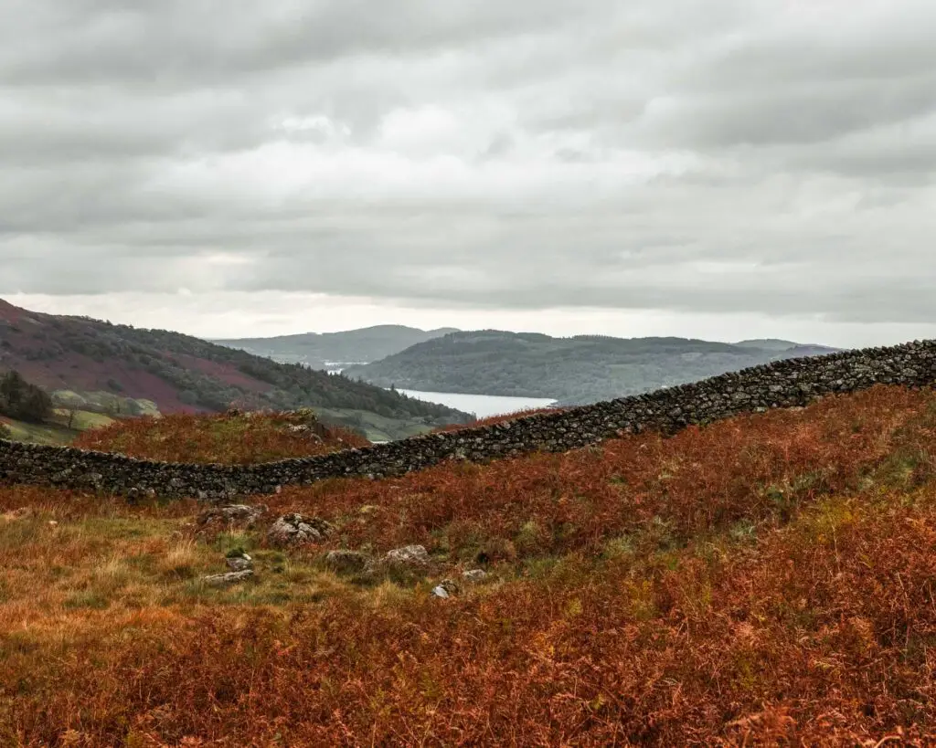 Red and orange foliage with a stone wall running across the middle of the frame and a view of Lake Windermere and hills in the distance.