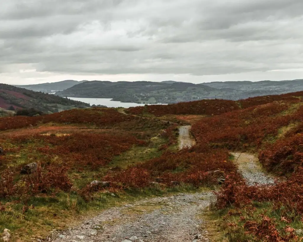 A gravel trail as it undulates downhill on the walk back to Ambleside from Sweden Bridge. The Traill is surrounding by fields of green grass and red foliage. Lake Windermere is visible in the distance surrounded by hills.