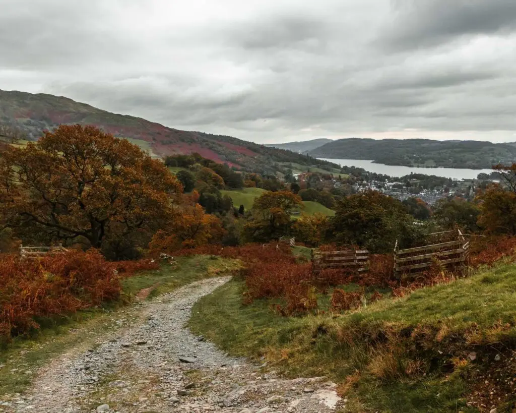 A gravel walking trail winding downhill, surrounded by green grass, red shrubbery and trees. Lake Windermere is in the distance surrounded by hills.