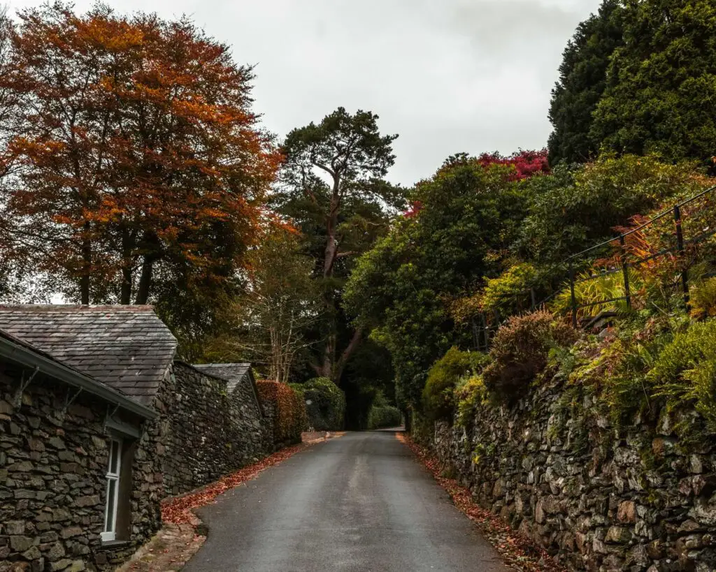 A tarmac road leading uphill with stone walls lining it. There are green bushes and trees along the stone wall on the right.