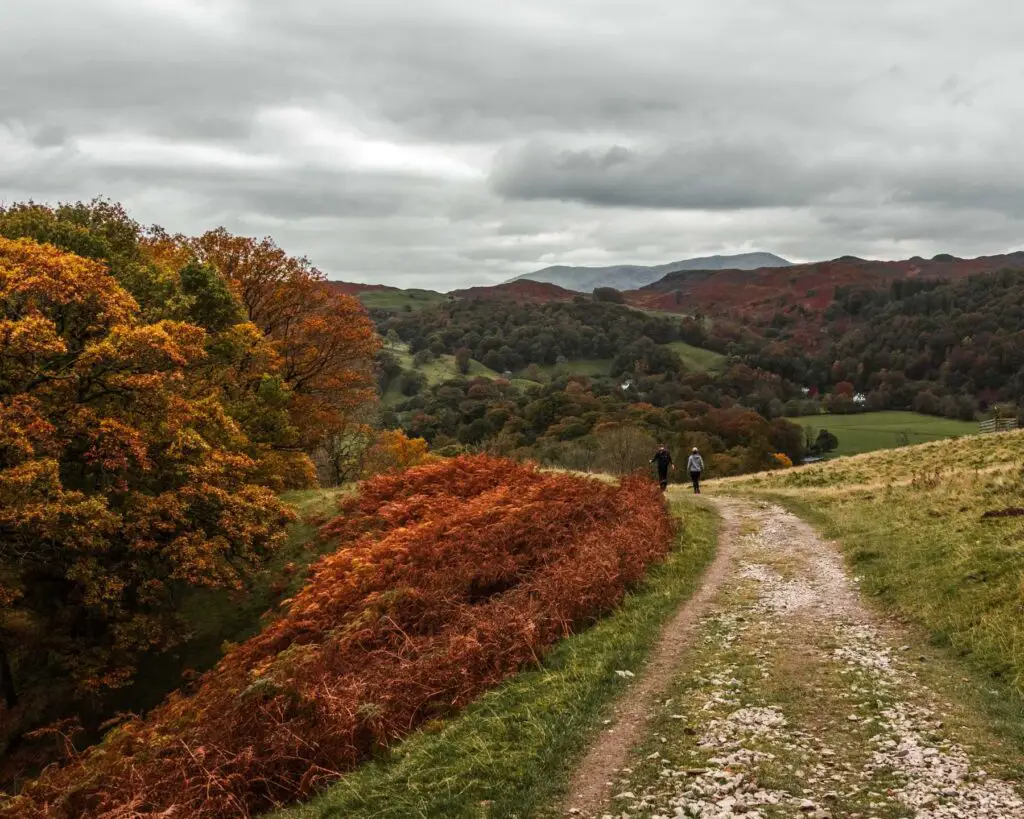 A trail with green grass on the right and red shrubbery and trees with orange leaves on the left. There are hills covered in trees in the distance and mountains behind them. It is a cloudy day.