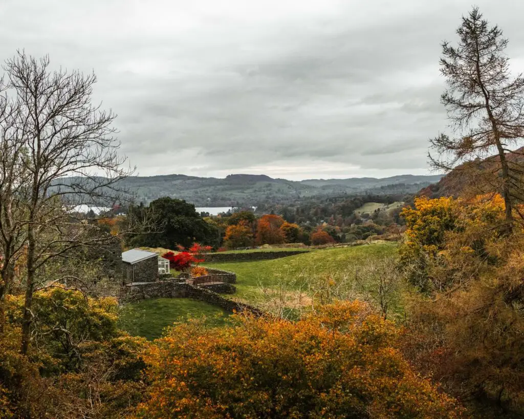 A view of green fields and a cottage through orange and green bushes and trees in the Lake District. There are green hills in the distance.