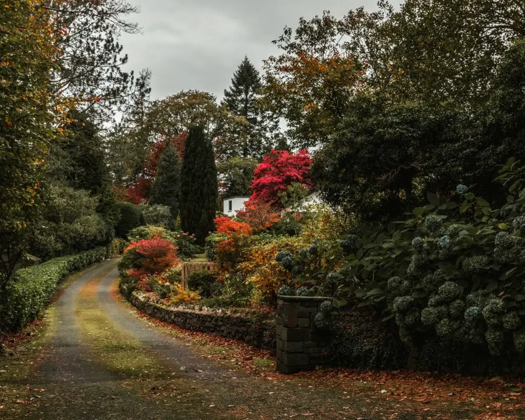 A driveway lined with bushes and hedges and trees in autumn shades of red, orange and green.