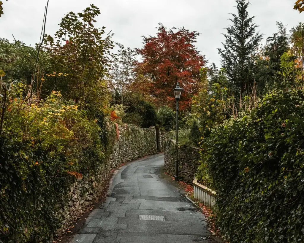 A tarmac road on the walk back to Ambleside from Sweden Bridge in the Lake District. There is a stone wall on both sides off the trail with green hedges and shrubbery. There is a lamppost on the road and a tree with red leaves behind it.