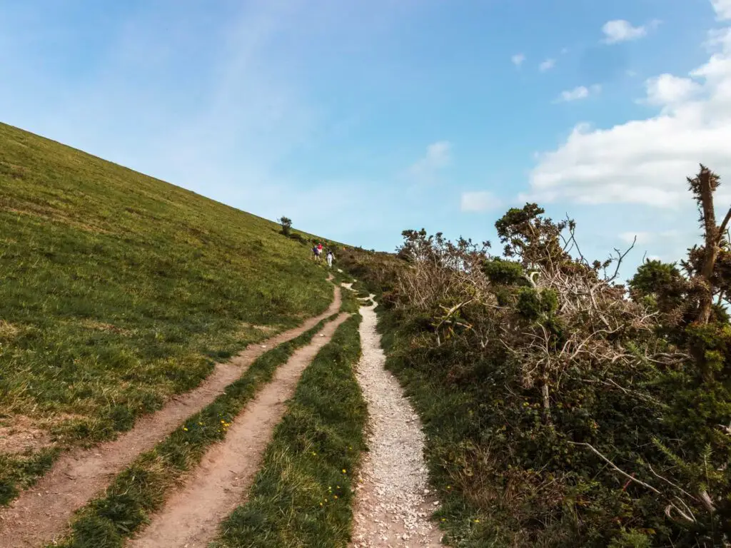 Three first trails running alongside each other going uphill through the grass. The sky is blue.