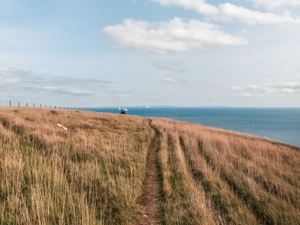 A narrow dirt trail running through long grass with the blue sea in the distance.