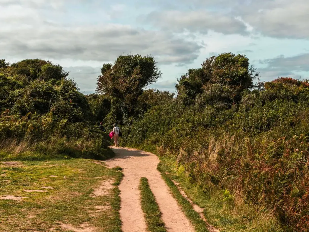 A walking trail leading into green bushes and trees as you walk away from Old Harry rocks towards Studland.