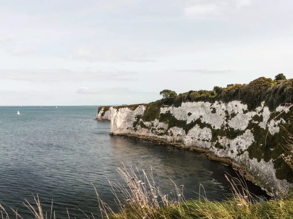 A view of the white cliffs of Old Harry Rocks surrounded by the Drak blue sea.