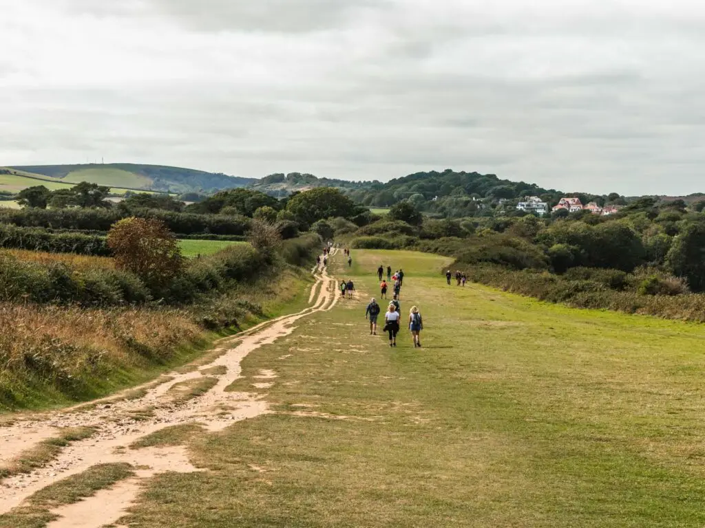 A green field with a trail running through it on the walk from Old Harry Rocks to Studland. There are lots of people walking along the grass. There are lots of green bushes in the background.