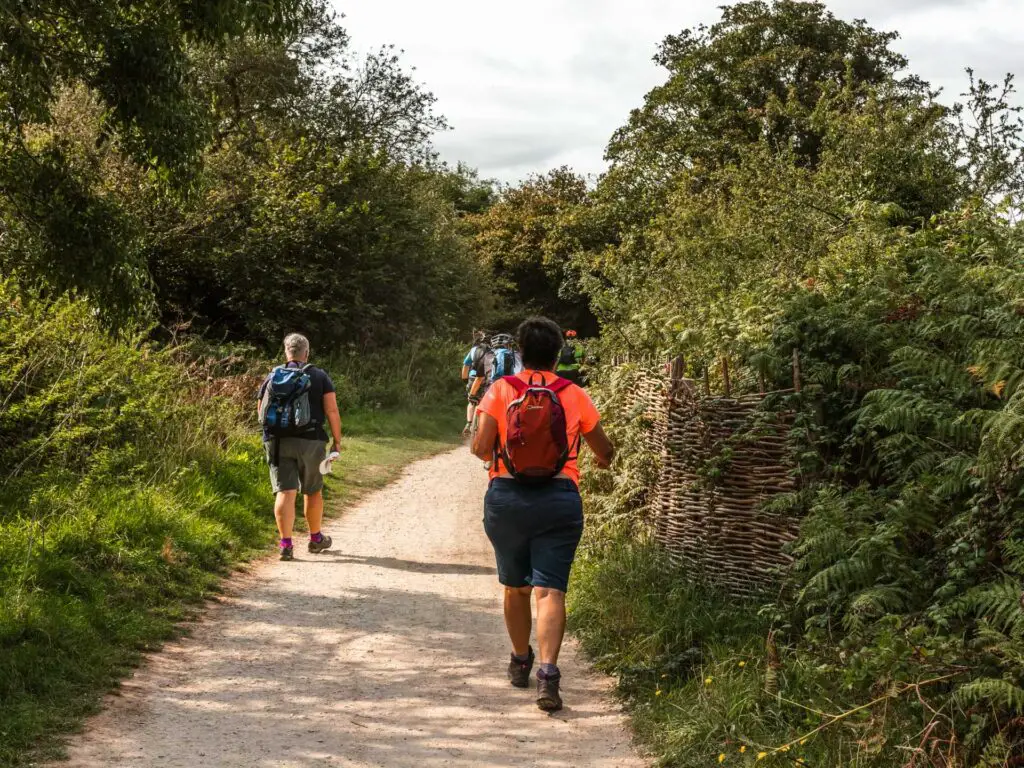 A walking trail surrounded by green bushes with lots of people walking.