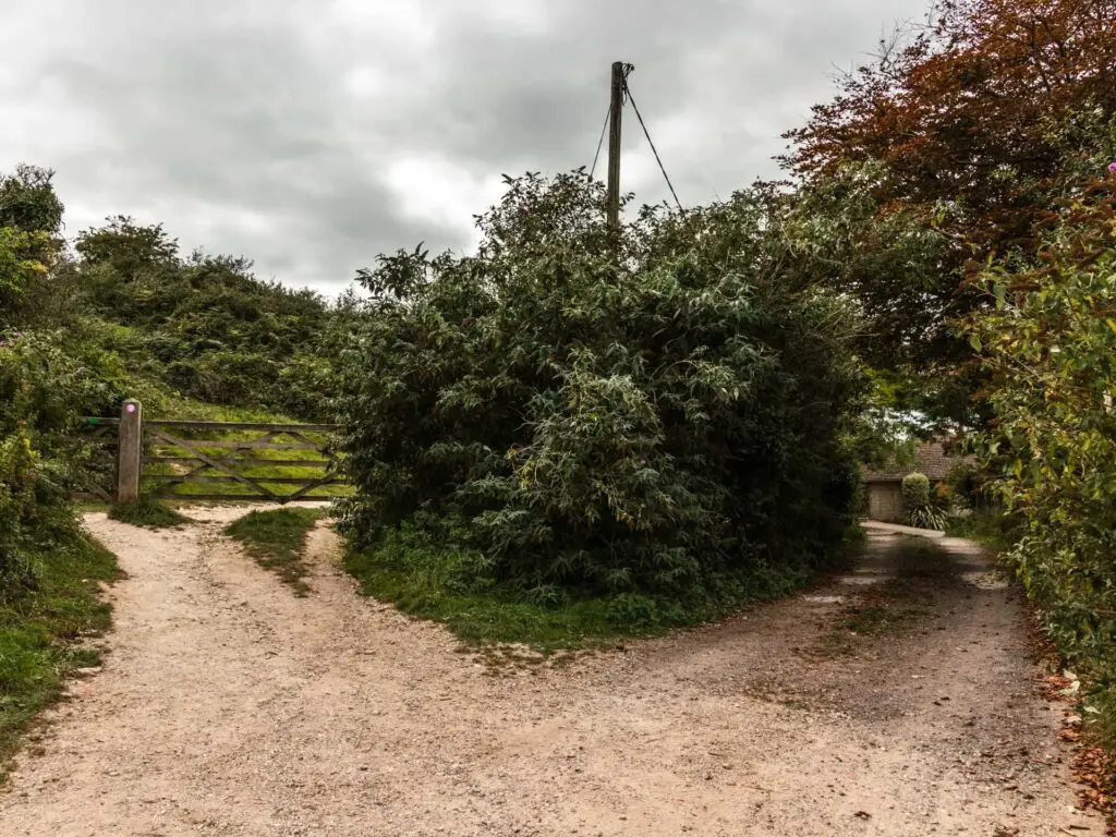 A gravel road split into two. Left goes through a wooden gate, right leads to a house. There is greenery surrounding the roads.