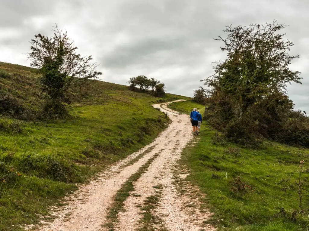 A gravely dirt trail winding uphill with green grass on both sides. There are two people walking up the trail.