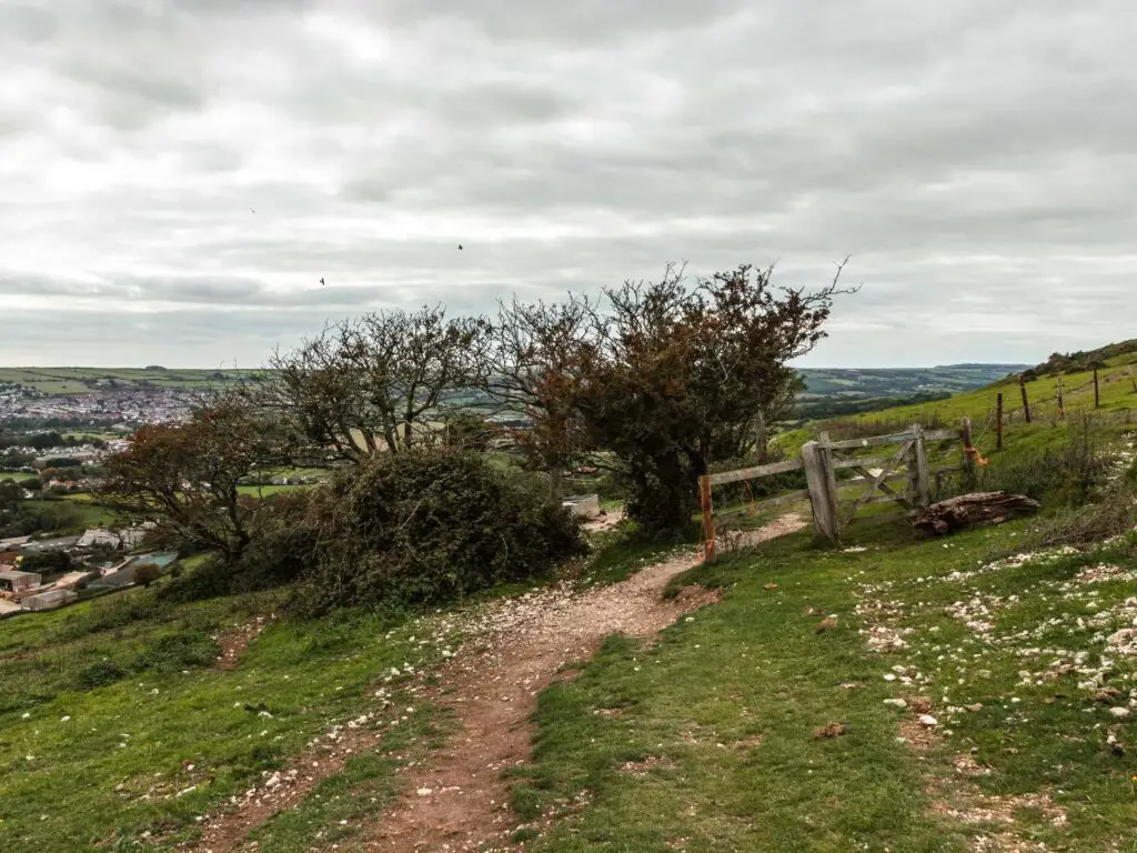 A dirt trail on the side of a hill of grass leading to a wooden gate and bushes.