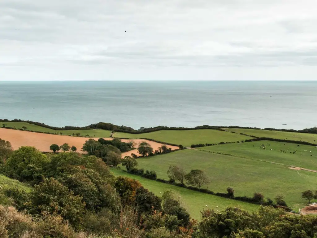 Looking down at the green fields and trees with the blue sea behind it.