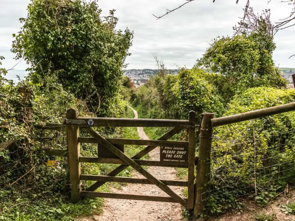 A wooden gate leading to a very narrow trail with green bushes on either side.