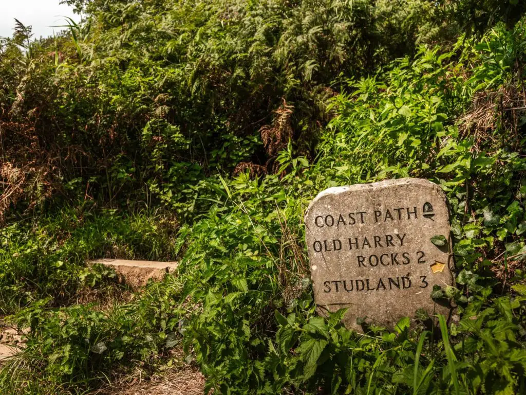 Stone signage near Swanage, marking the coast path walk to Old Harry Rocks and Studland. The rock is nestled between green shrubbery.