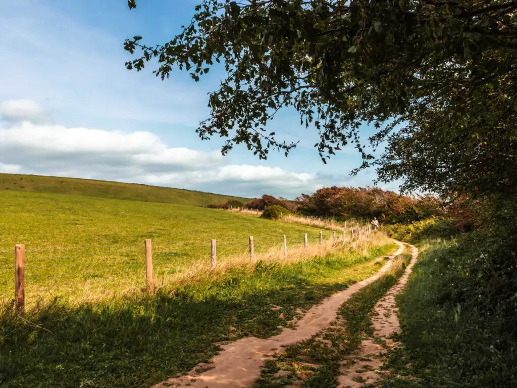 A dirt trail through the grass with bushes and trees on the right, and a barbed wire fence and green open field on the left.