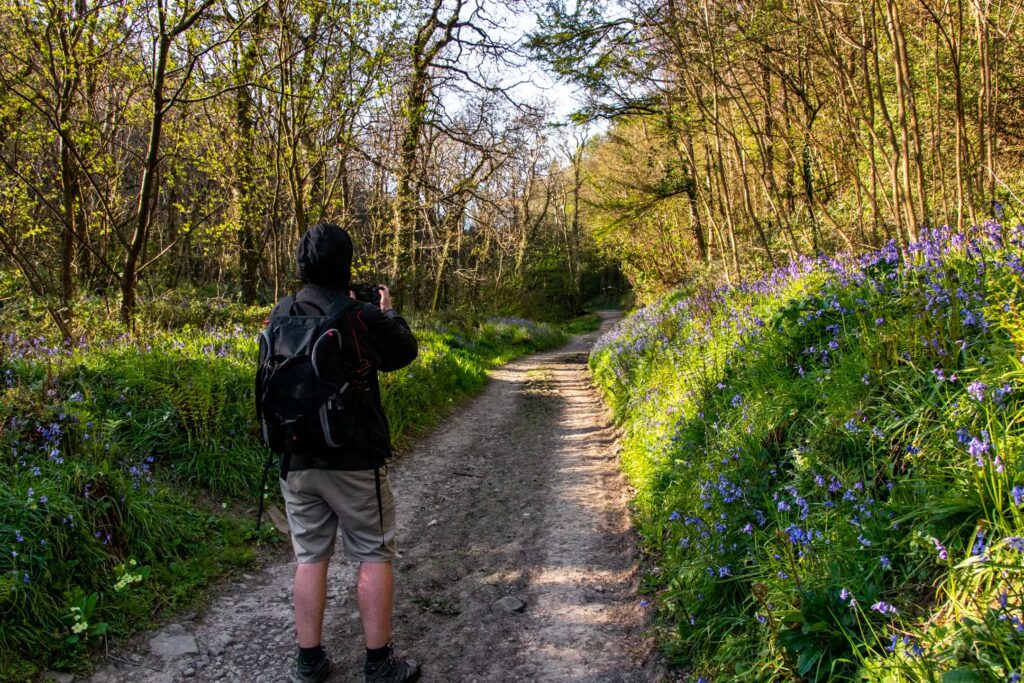 Oliver standing on the trail Wirth the green grass and bluebells on either side.