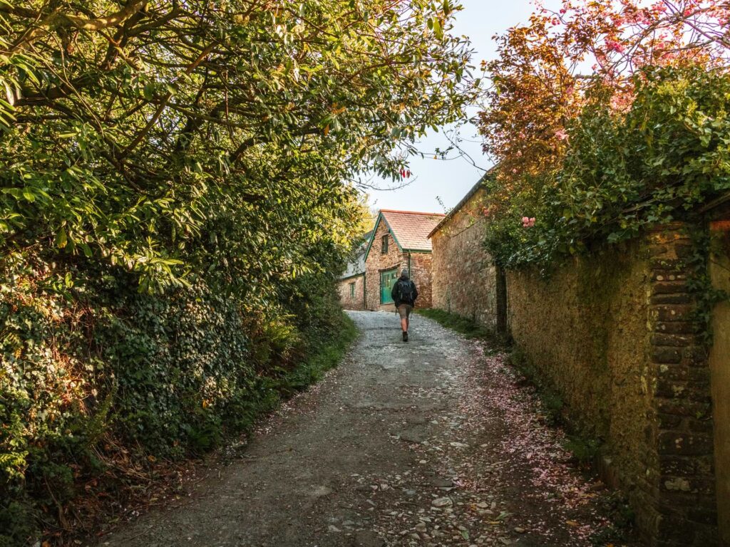 Oliver walking along the path uphill at the end of the Blackchurch Rock walk. There is a green hedge on the left and brick wall on the right. There are pink petals on the ground.